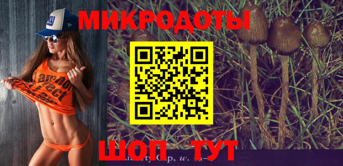 Галлюциногенные грибы Psilocybe  Псилоцибиновые грибы GOLDEN TEACHER  Вход с VPN  купить наркотик  Маркс 